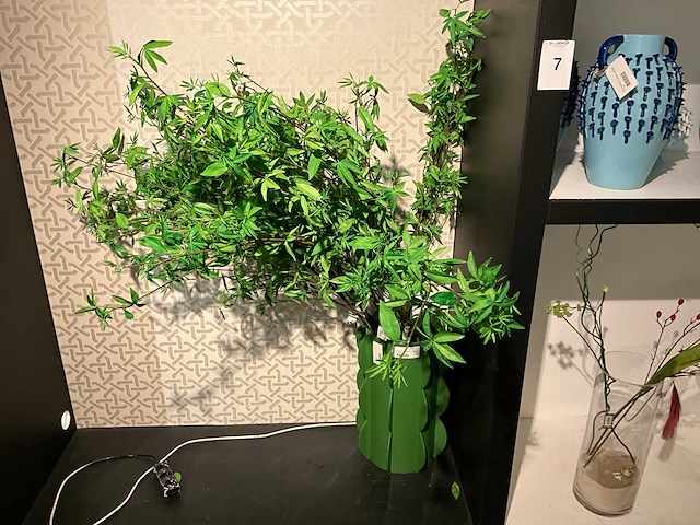 Vaas (40x) - afbeelding 11 van  19