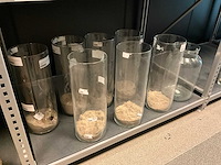 Vaas (50x) - afbeelding 12 van  14