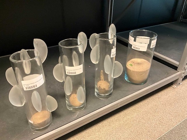 Vaas (50x) - afbeelding 13 van  14