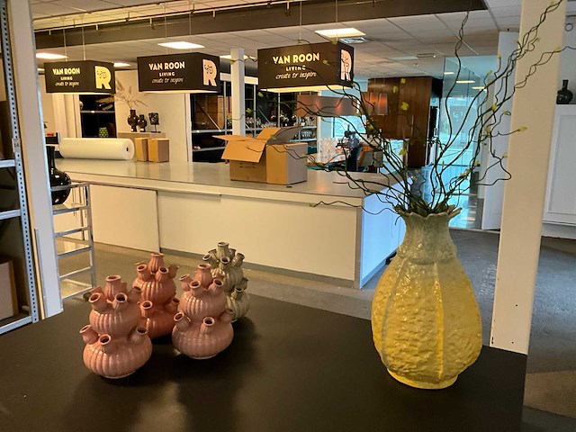 Vaas (70x) - afbeelding 2 van  21