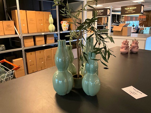 Vaas (70x) - afbeelding 21 van  21