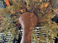 Vaas - afbeelding 4 van  4