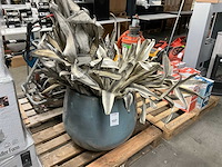 Vaas/pot - afbeelding 1 van  6