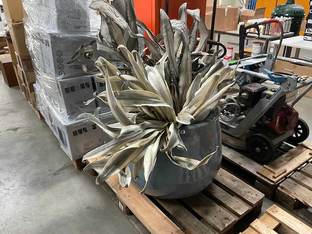 Vaas/pot - afbeelding 2 van  6