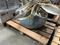 Vaas/pot - afbeelding 6 van  6