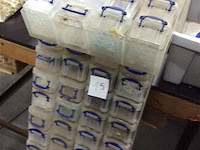 Vakkenbakjes deels gevuld - afbeelding 2 van  2