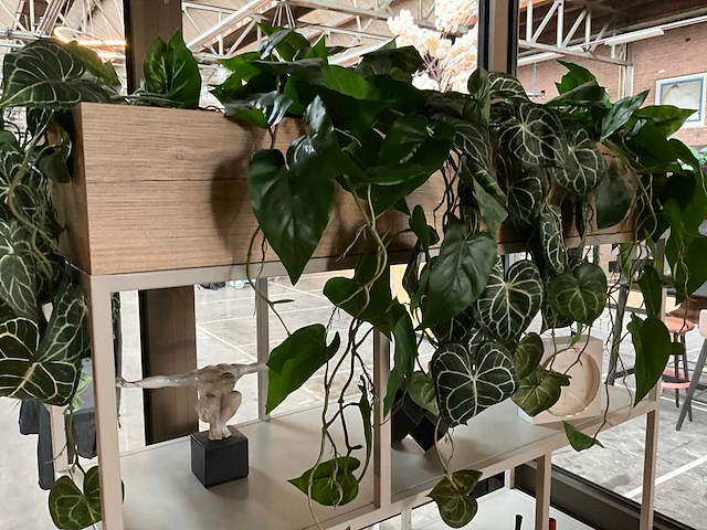 Vakkenkast 120x45x185cm - afbeelding 2 van  4