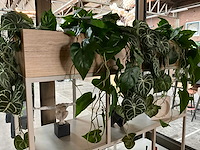 Vakkenkast 120x45x185cm - afbeelding 2 van  4