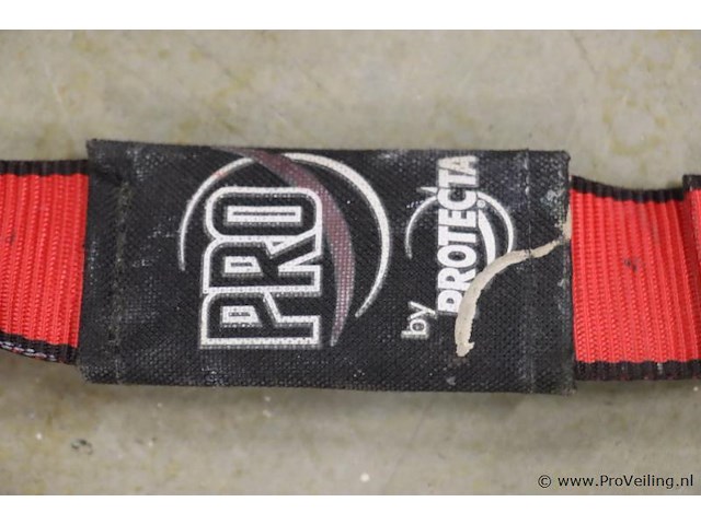 Valbeveiligingsharnas met dubbele vallijn - afbeelding 4 van  5