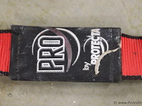 Valbeveiligingsharnas met dubbele vallijn - afbeelding 4 van  5