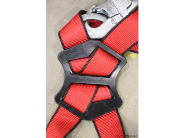 Valbeveiligingsharnas met dubbele vallijn - afbeelding 5 van  5