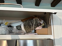 Van camp - showroomkeuken - afbeelding 14 van  30