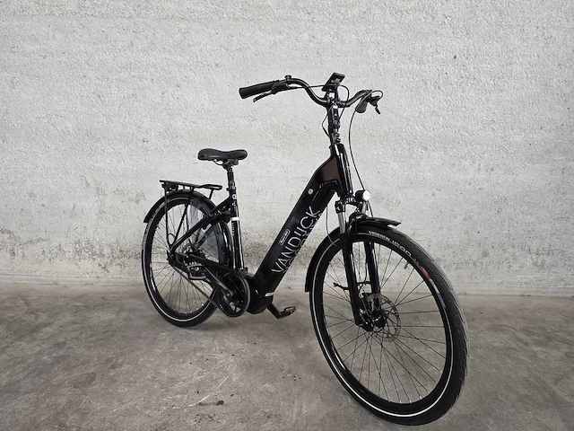 Van dijck - fiets - tour - elektrische fiets 4235 - afbeelding 5 van  10