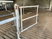 Van dinther koebehandelstraat - afbeelding 4 van  17