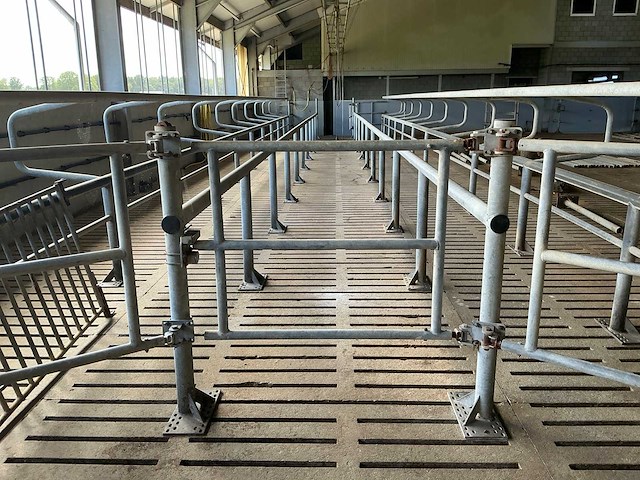 Van dinther koebehandelstraat - afbeelding 5 van  17