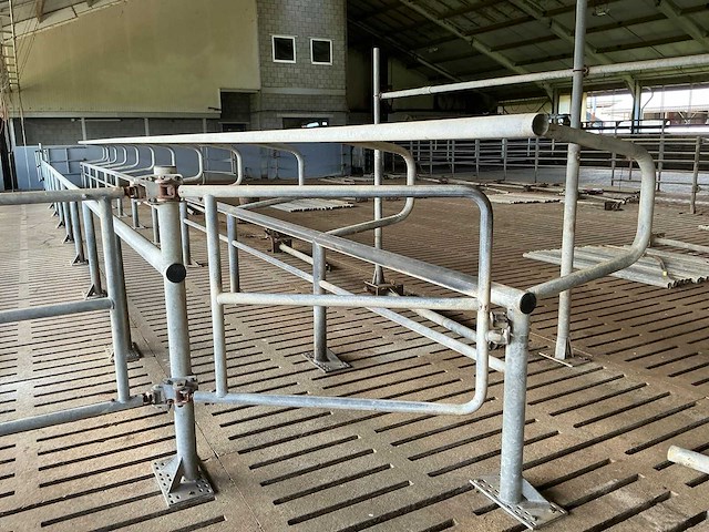 Van dinther koebehandelstraat - afbeelding 6 van  17