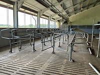 Van dinther koebehandelstraat - afbeelding 1 van  17