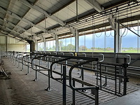 Van dinther koebehandelstraat - afbeelding 11 van  17