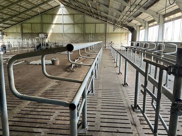 Van dinther koebehandelstraat - afbeelding 12 van  17