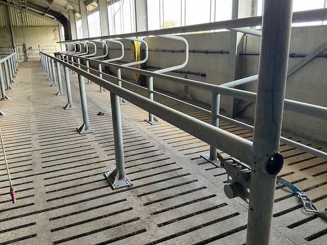 Van dinther koebehandelstraat - afbeelding 14 van  17