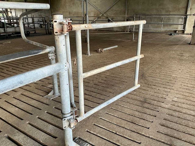 Van dinther koebehandelstraat - afbeelding 4 van  17