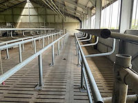 Van dinther koebehandelstraat - afbeelding 13 van  17