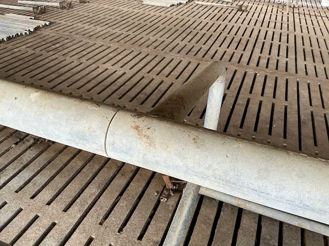 Van dinther koebehandelstraat - afbeelding 1 van  1