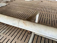 Van dinther koebehandelstraat - afbeelding 1 van  1