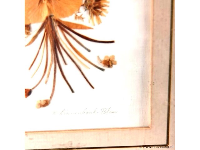 Van droogbloemen vervaardigde wandversiering - afbeelding 3 van  5