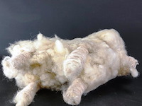 Van echt wol vervaardigd schaap - afbeelding 5 van  5