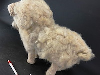 Van echt wol vervaardigd schaap - afbeelding 3 van  5