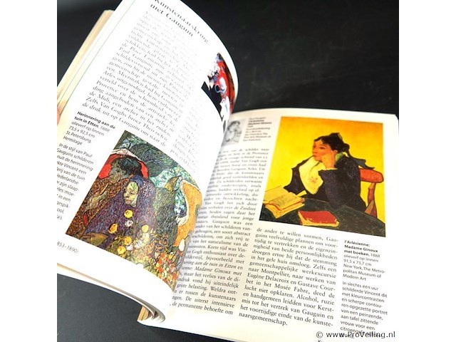 Van gogh - afbeelding 4 van  5