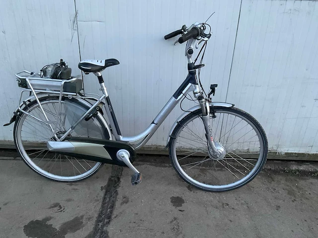 Van limpurg e relax piro elektrische fiets - afbeelding 1 van  13