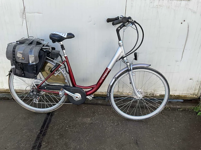 Van limpurg elektrische fiets - afbeelding 1 van  11