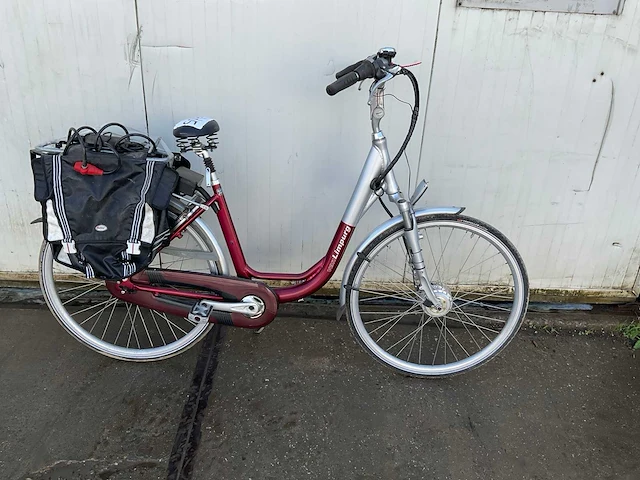 Van limpurg elektrische fiets - afbeelding 1 van  10