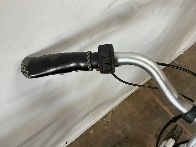 Van limpurg powered by samsung elektrische fiets - afbeelding 7 van  18