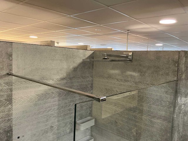 Van rijn / hansgröhe douche opstelling - afbeelding 9 van  10