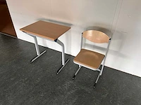 Vanerum - schoolset (100x)