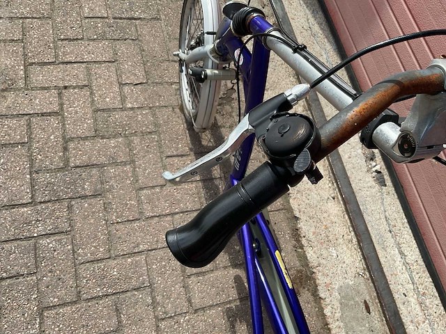 Vanraam easy ride ligfiets - afbeelding 4 van  8