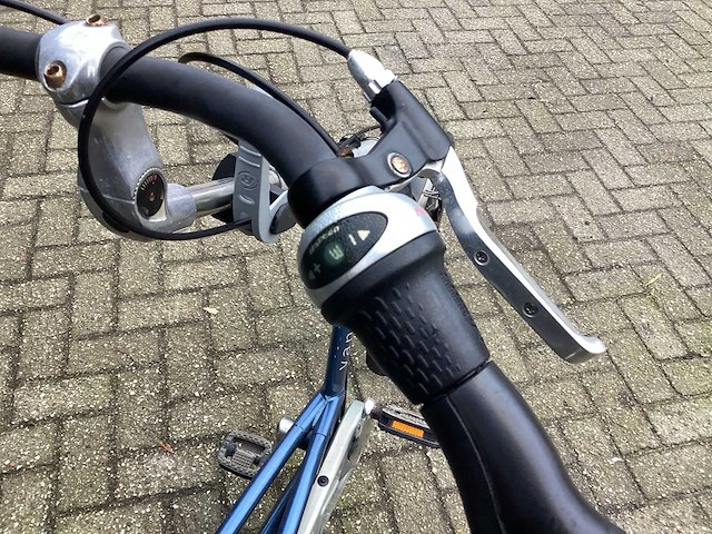 Vanraam easy rider driewieler fiets - afbeelding 2 van  13