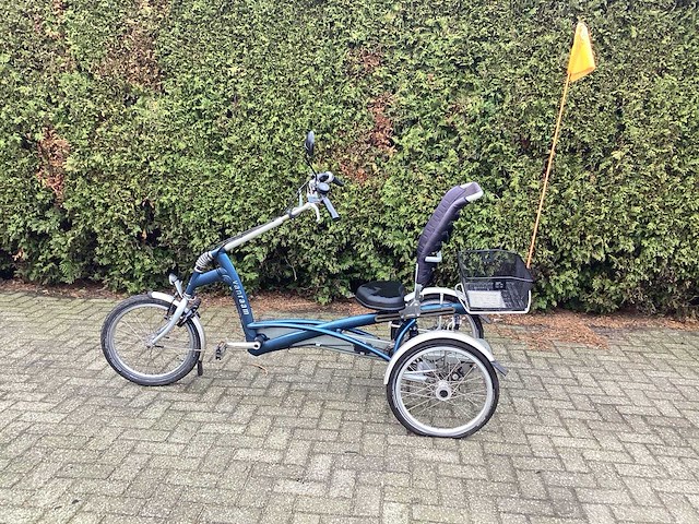 Vanraam easy rider driewieler fiets - afbeelding 3 van  13