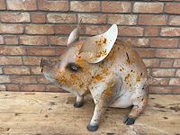 Varken - afbeelding 1 van  2