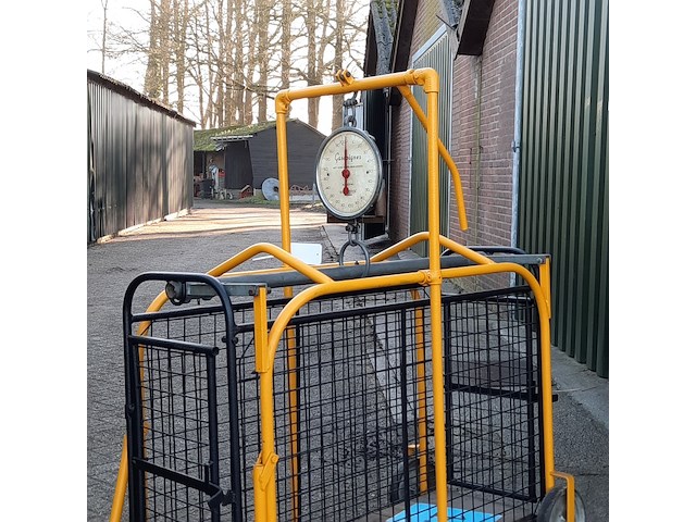 Varkens waag, max 200kg (weegschaal) gascoigne, mkii - afbeelding 4 van  10