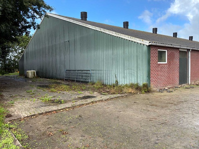 Varkensstal buitenzijde 105 x 28 meter - afbeelding 7 van  20
