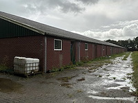 Varkensstal buitenzijde 105 x 28 meter - afbeelding 16 van  20
