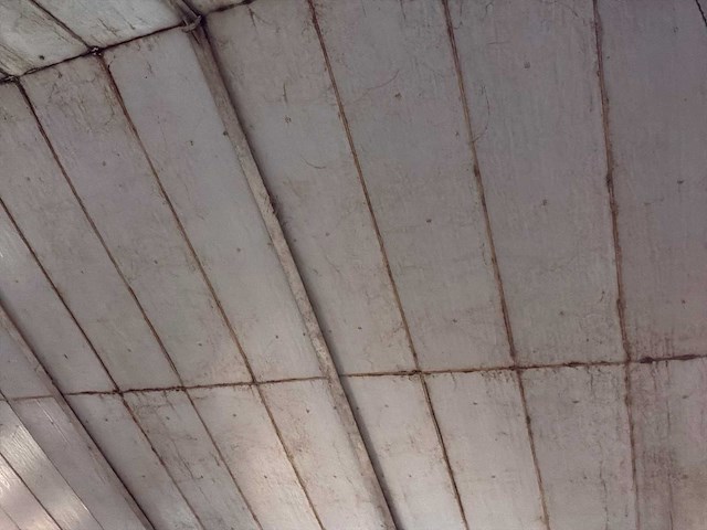 Varkensstal buitenzijde 105 x 28 meter - afbeelding 3 van  19