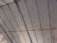 Varkensstal buitenzijde 105 x 28 meter - afbeelding 3 van  19