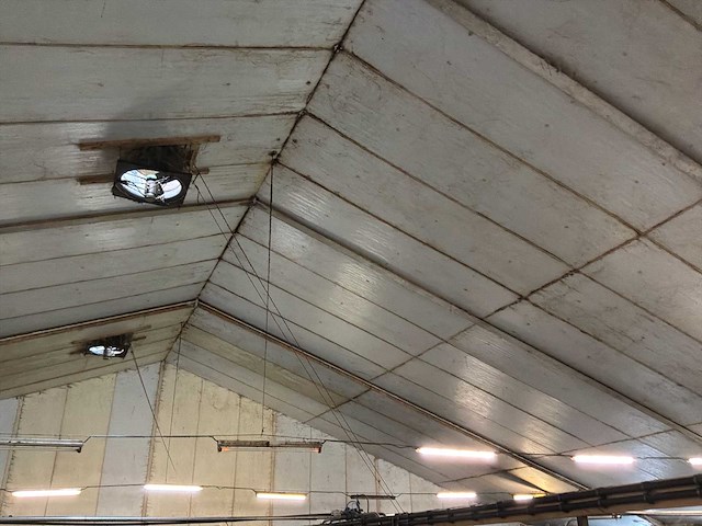 Varkensstal buitenzijde 105 x 28 meter - afbeelding 4 van  19