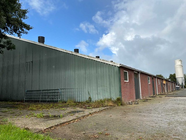 Varkensstal buitenzijde 105 x 28 meter - afbeelding 7 van  19