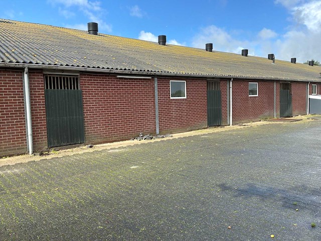 Varkensstal buitenzijde 105 x 28 meter - afbeelding 9 van  19